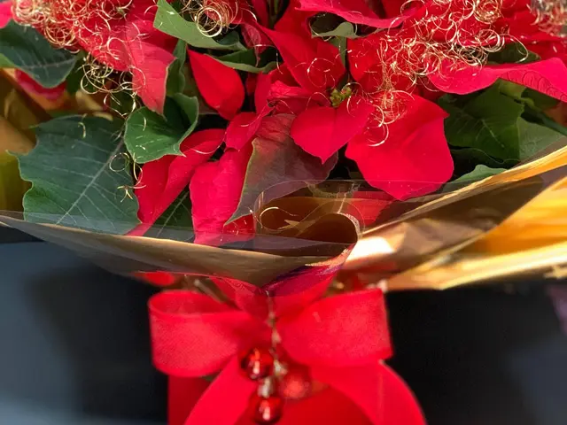 producto de Floristería Natalia Flor